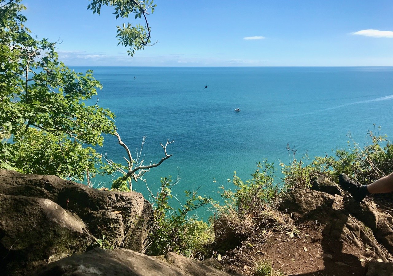Looking out to sea - which is a stunning blue - through a break in the bushes on the coastal path