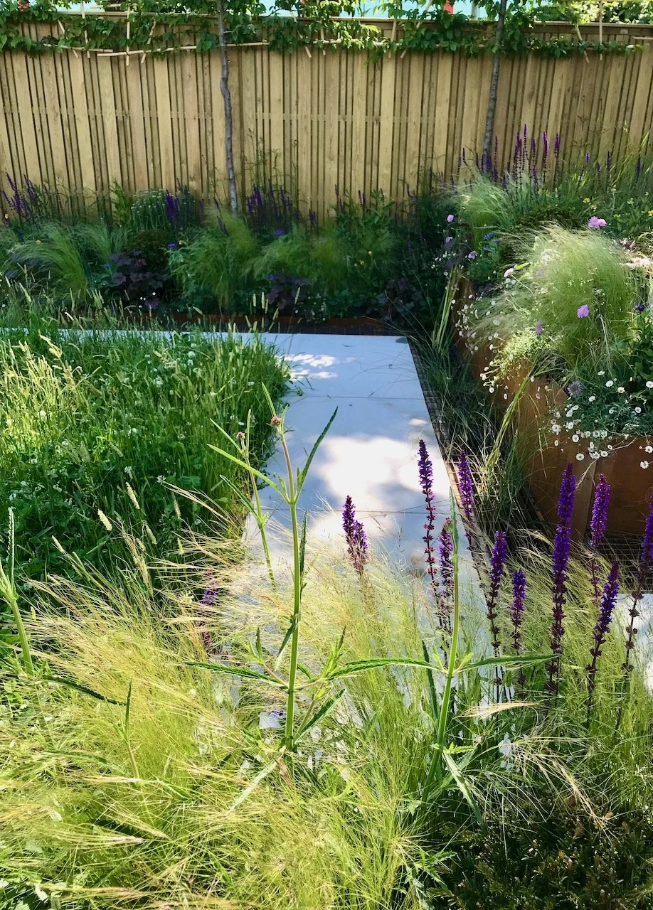 The central part of the garden with planting to encourage wildlife