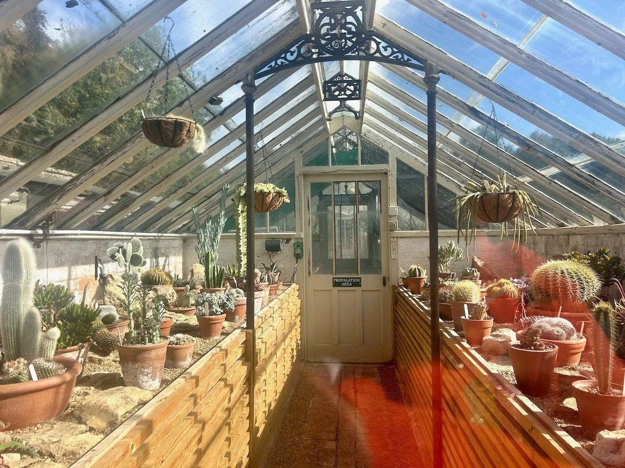 Peering into the Arid House from the window in the door
