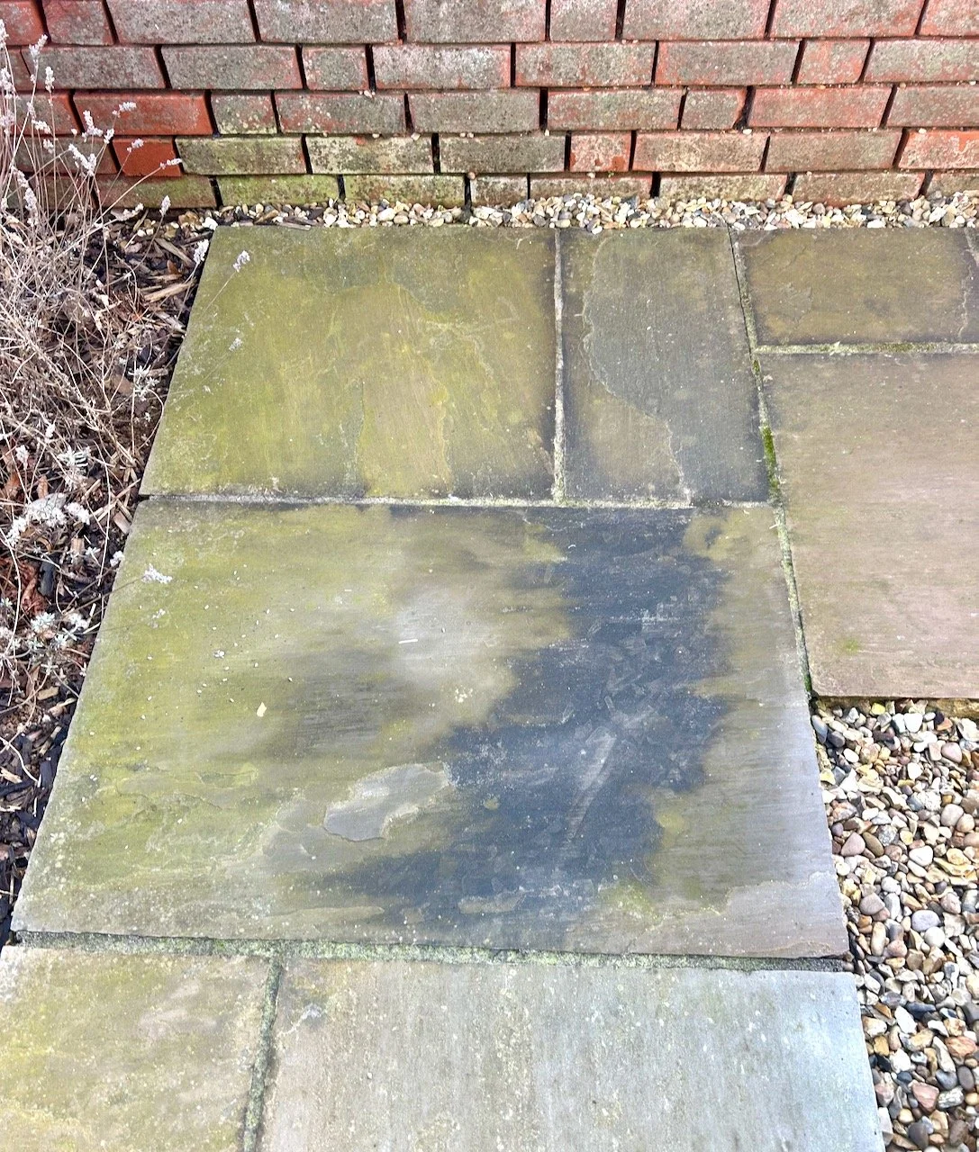 Winter staining on a corner of our path