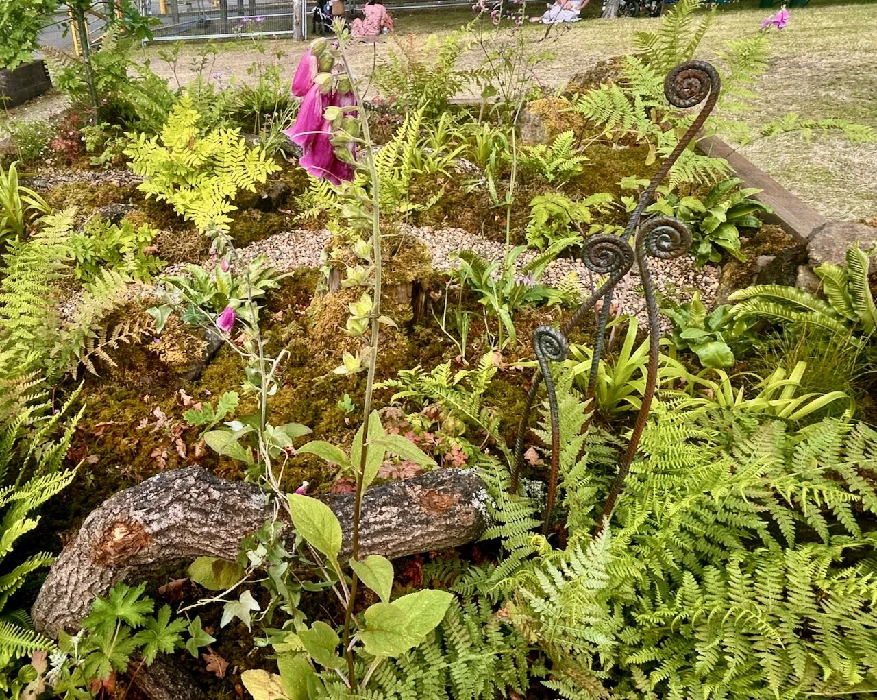 A British Rainforest