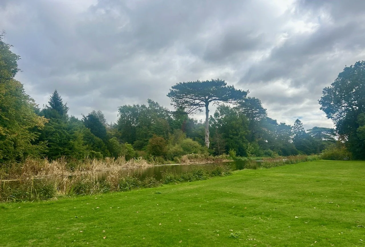 The parkland at Scampston Hall