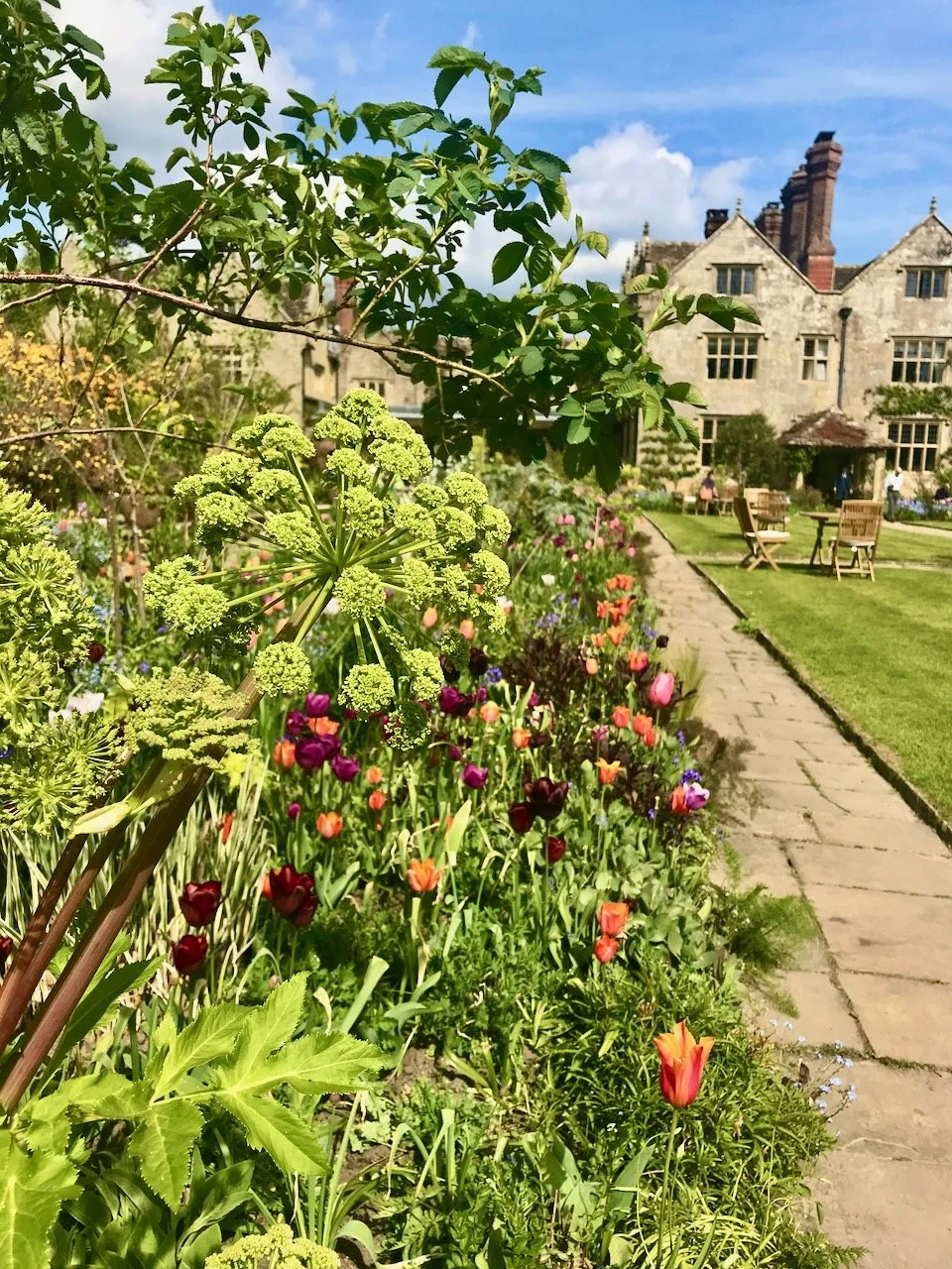 The view back to the house with a flower bed filled with plants and colour on the left hand side of the lawn