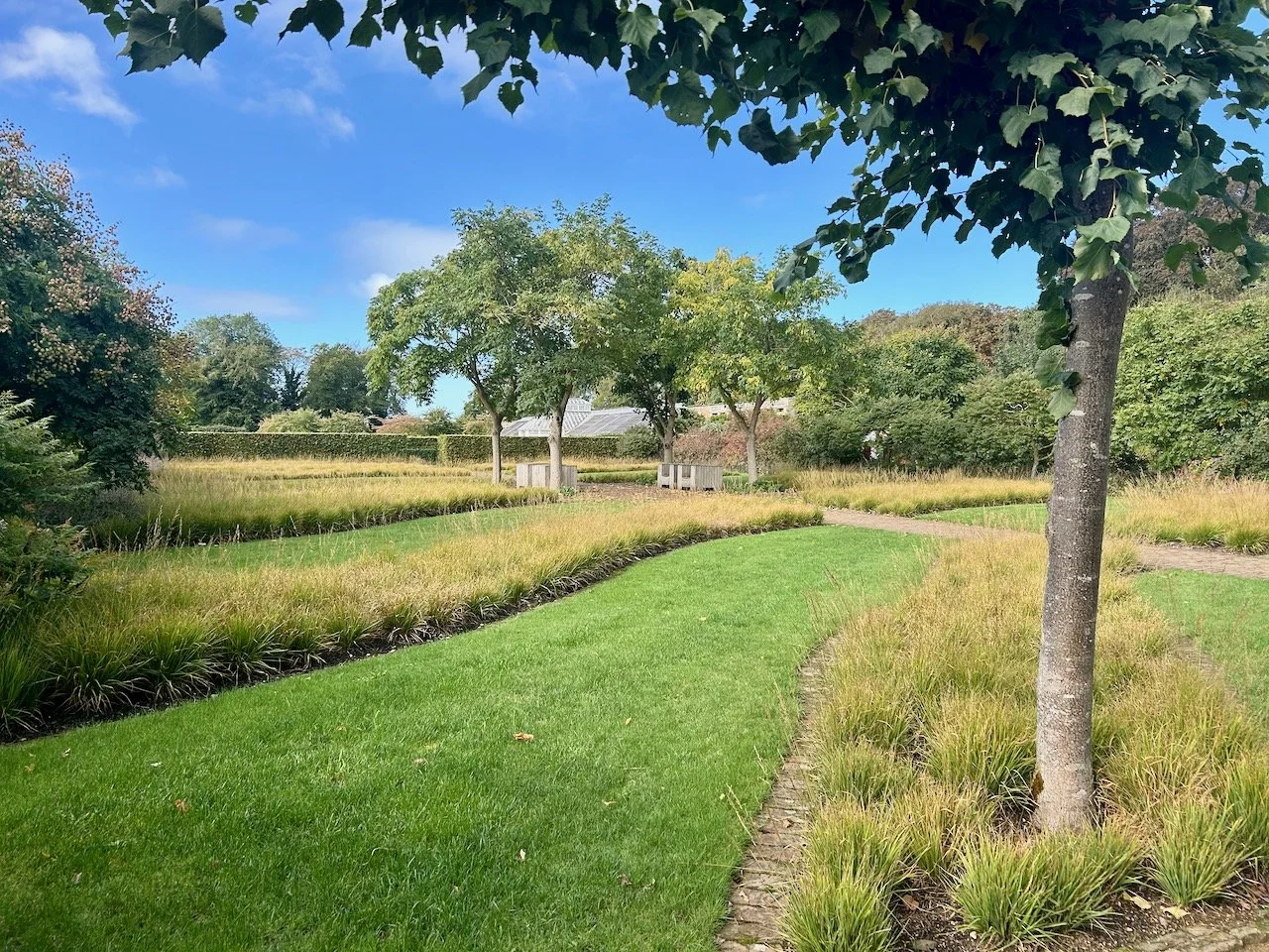 Walking into the Drifts of Grass garden