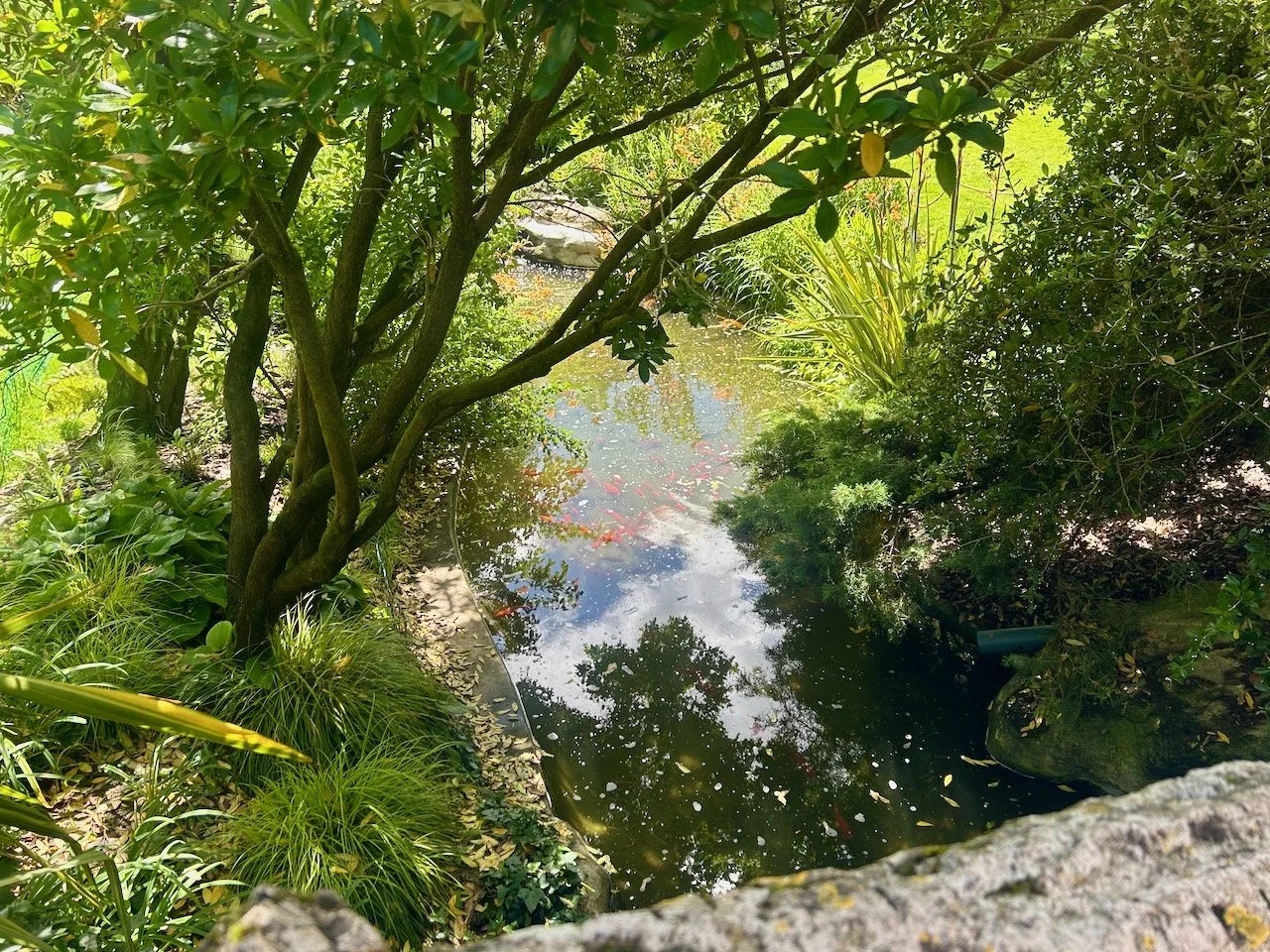 Crossing the footbridge looking down to the water below, full of red coloured fish