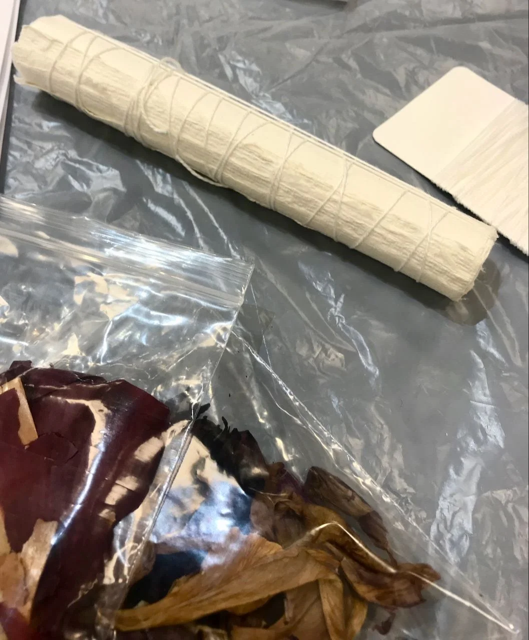 A bag of dried onion skins and petals in the foreground with my notebook wound and tied around a dowel above
