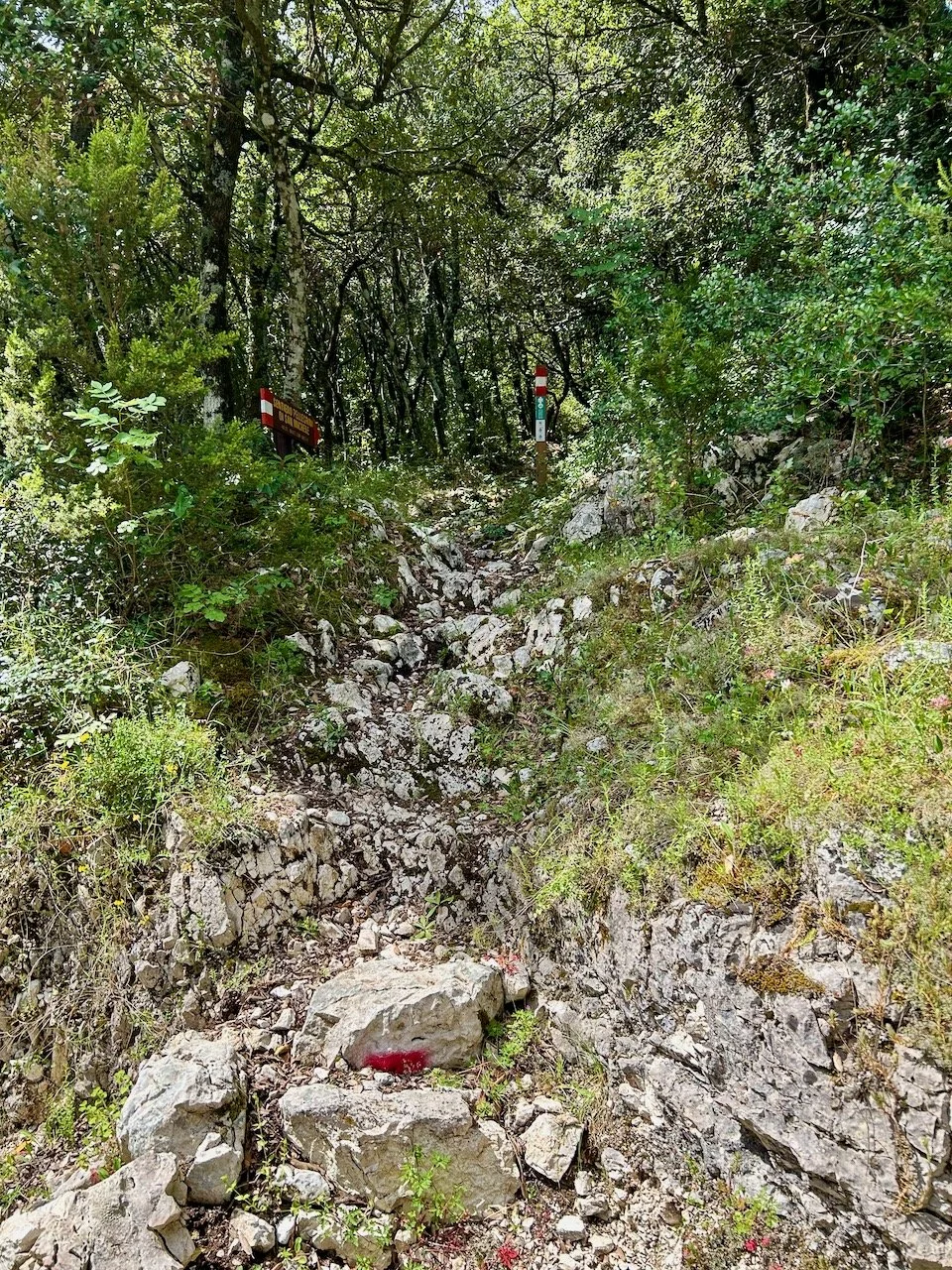 a rocky path upwards with way markers visible at the top