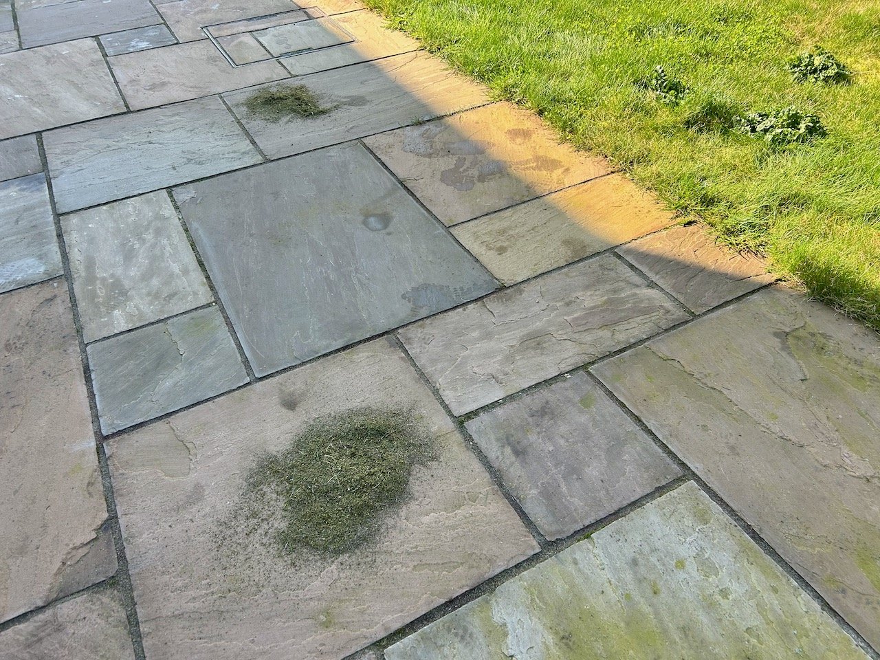The patio - and the remains of scraping moss out of the joins