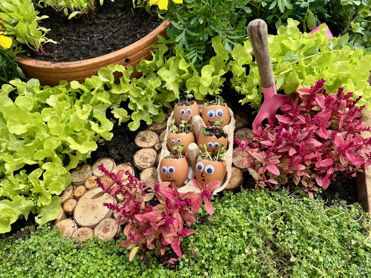 MAKE A METRE MATTER, DE GRAFT MENSAH & LUCY CHAMBERLAIN - GARDENERS' WORLD LIVE 2026