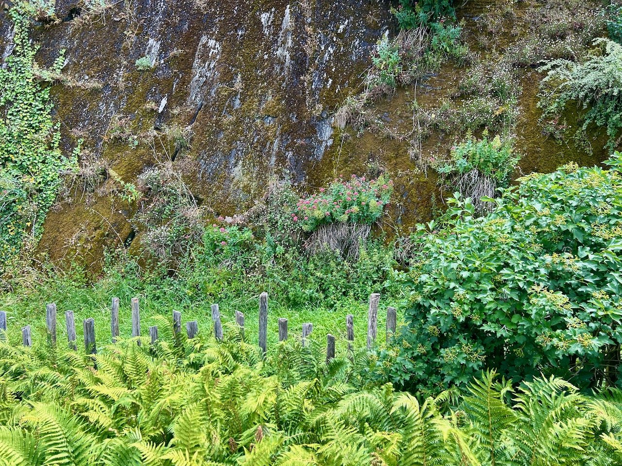 The rock (on which the castle stands) with the rickety fence