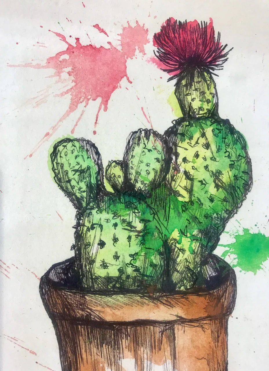 A drawing of a prickly cactus with a pink flower on its tip, with a splodge of pink paint to its side
