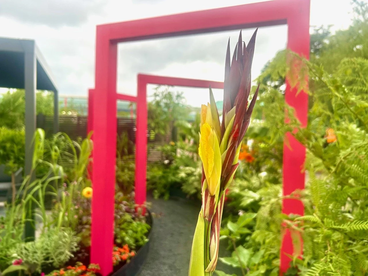 THE HEART OF THE JUNGLE, JONATHAN & BRIONY DAKIC - GARDENERS' WORLD LIVE 2026