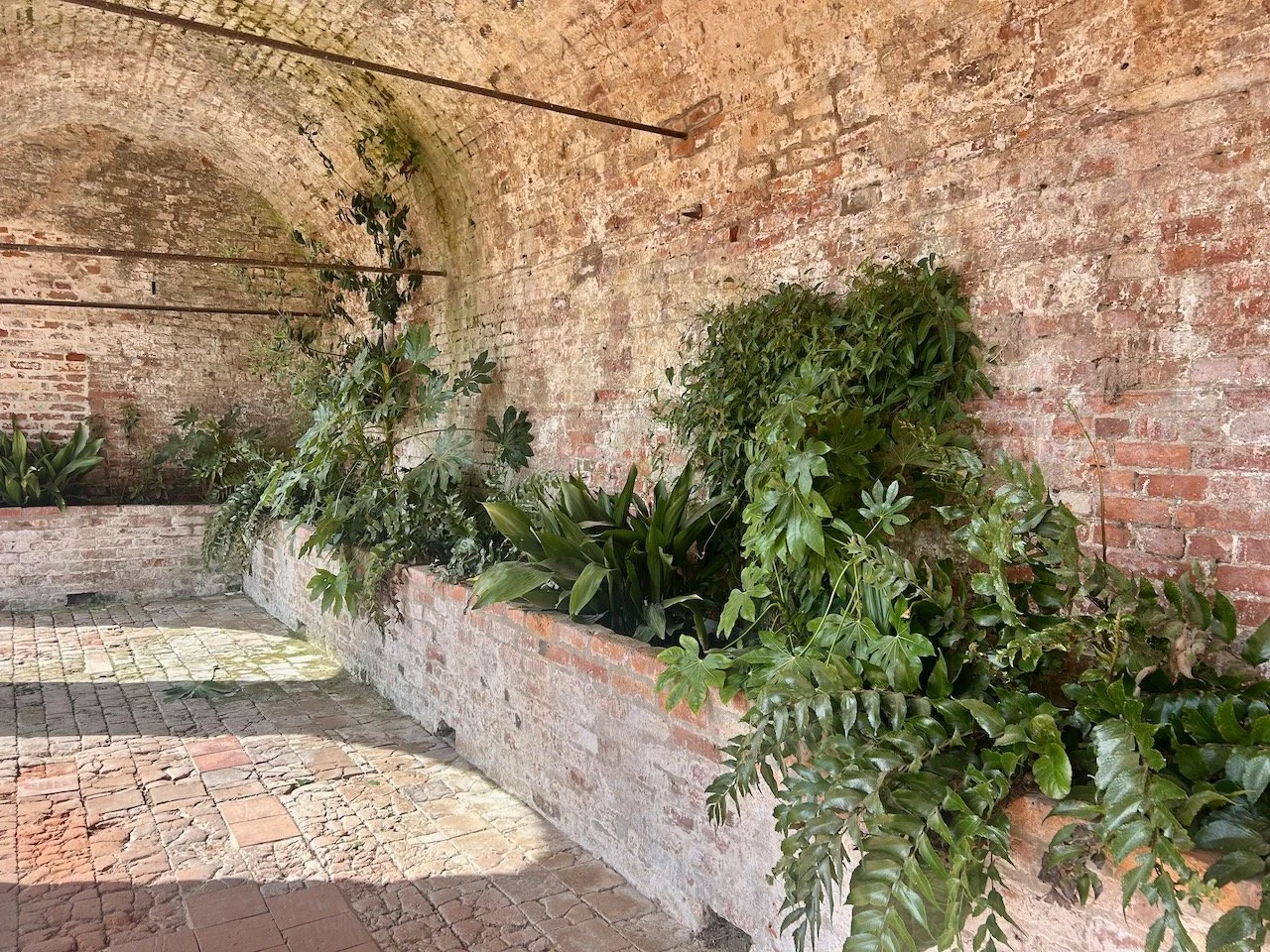 Inside the brick arches and the raised brick planters are filled with ferns and greenery