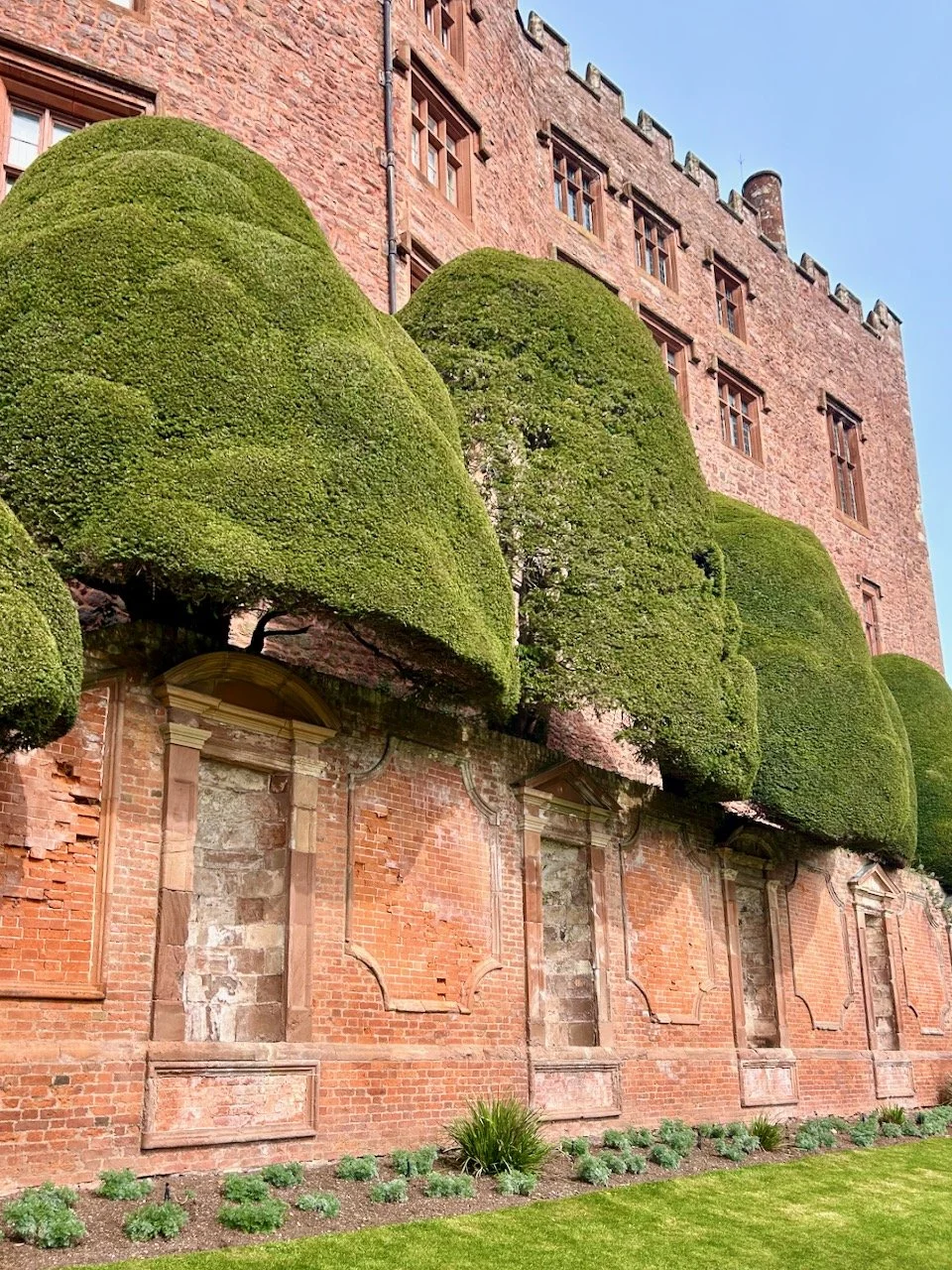 Yew topiary and the castle