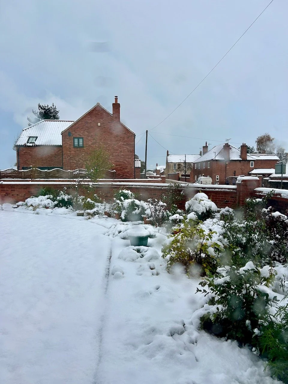 The main border covered in snow - looking up into the village