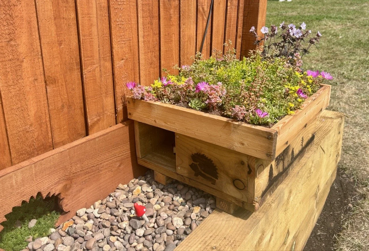 through the hedgehog shaped hole in the fence is a hedgehog house - also with a planted green roof