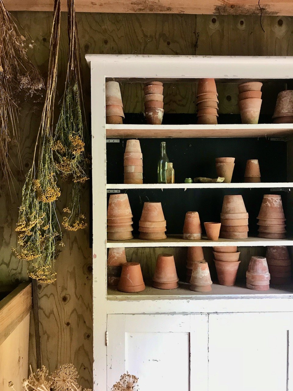 An open shelved unit in the potting shed displaying upturned terracotta plant pots