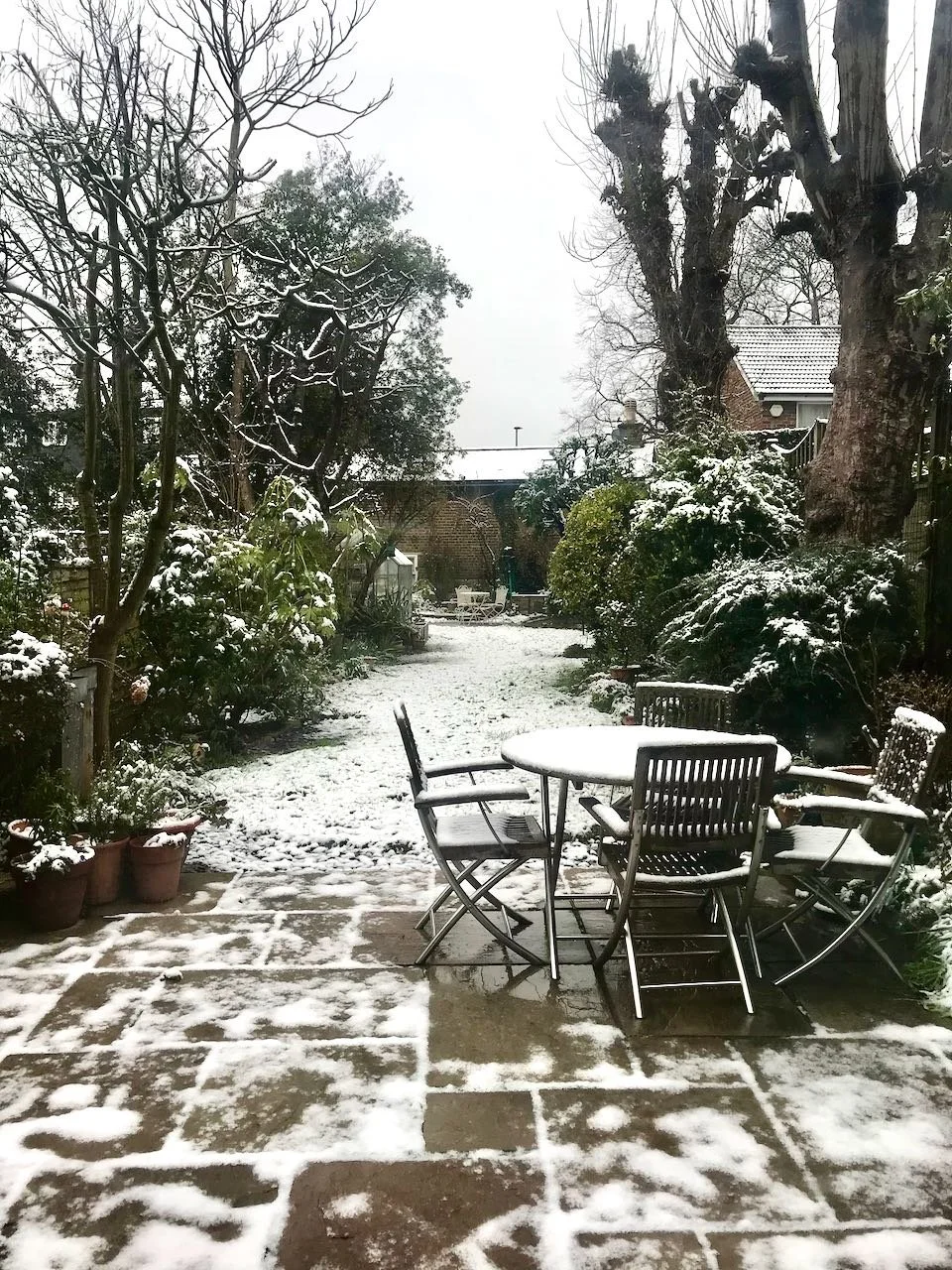 A brief dusting of snow on the garden on March 8