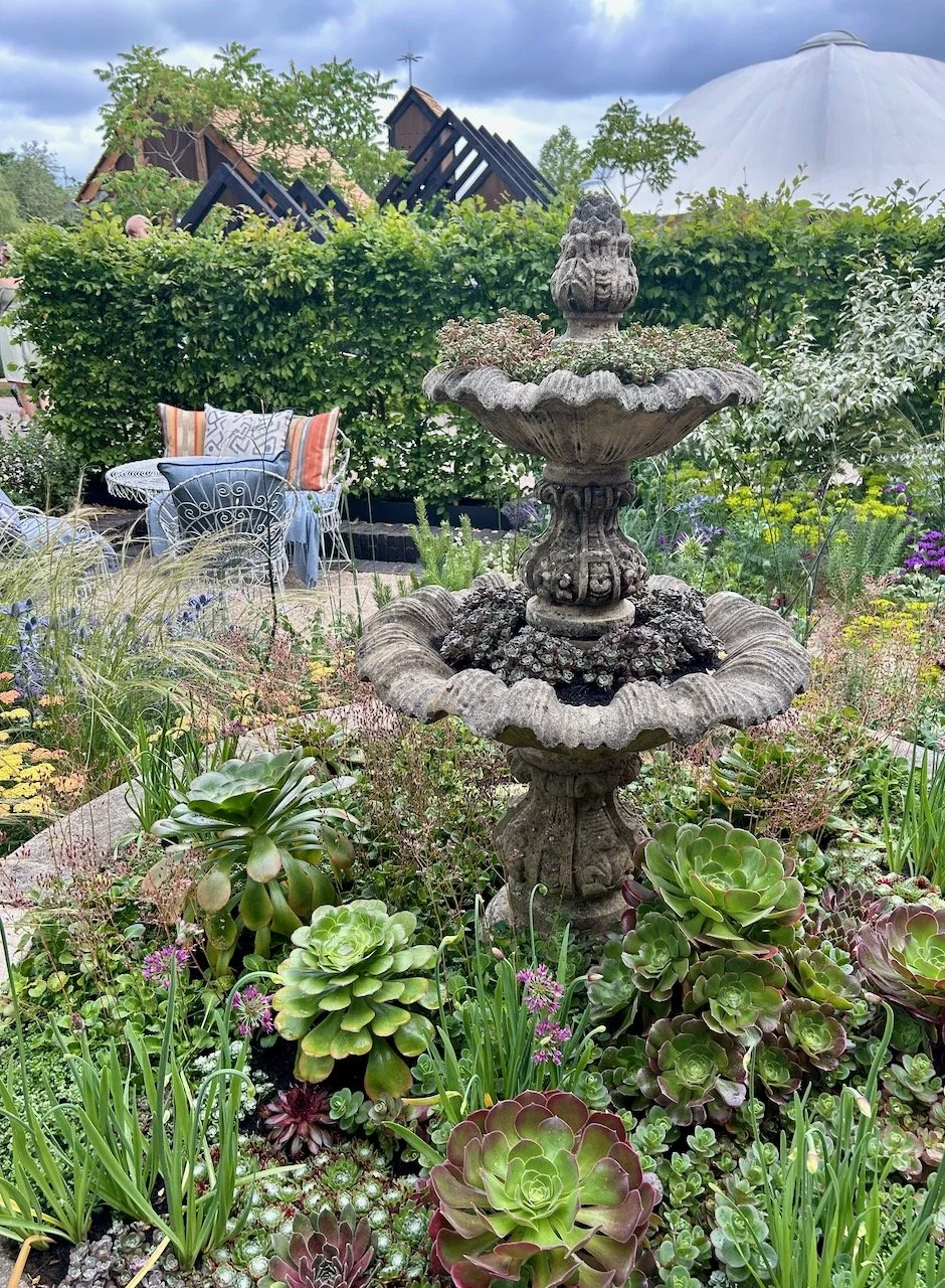 An old municipal type water fountain filled with succulents, with the seating area beyond