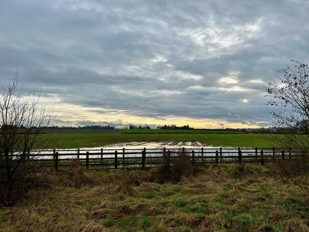 still wet fields with a lot of surface water along Moor lane