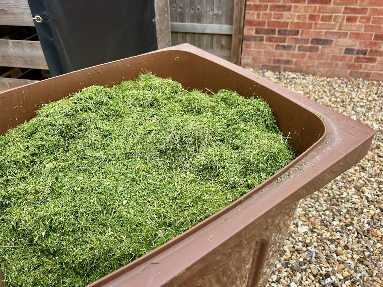 A very full garden wheelie bin - mostly grass cuttings, but about a third of it is weeds