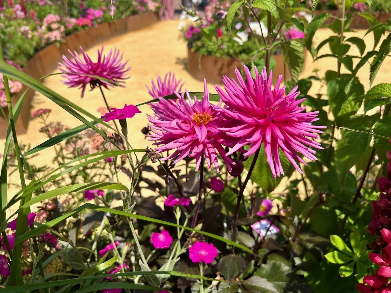 Celebrating all things pink