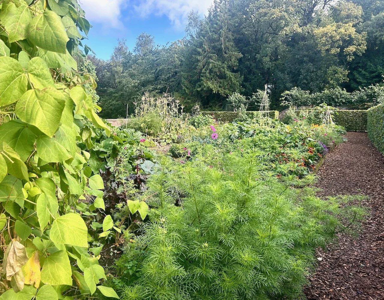 The view of the potager after stepping through the gate