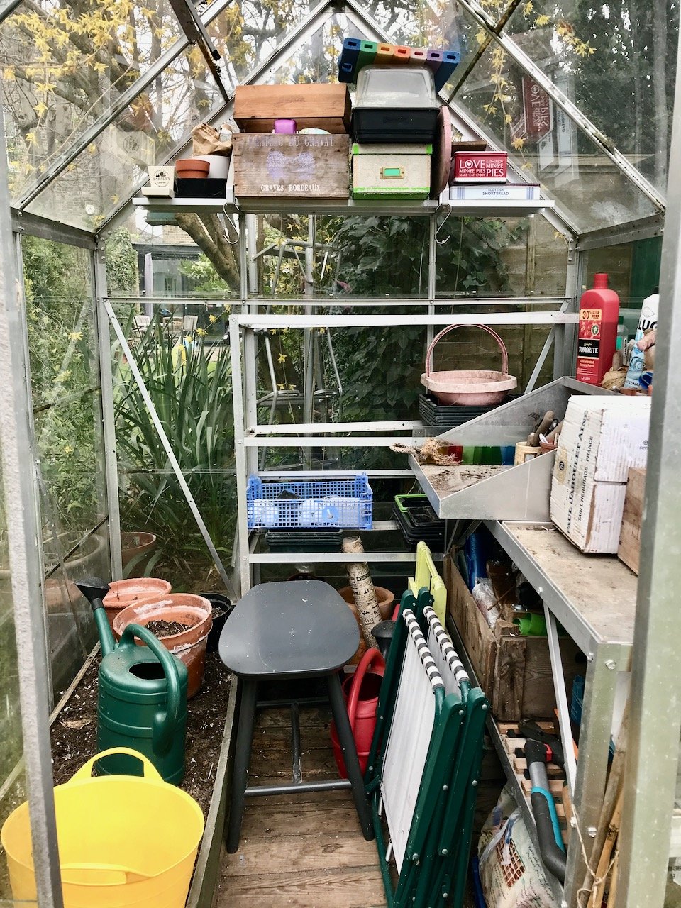 Looking into my tidy greenhouse