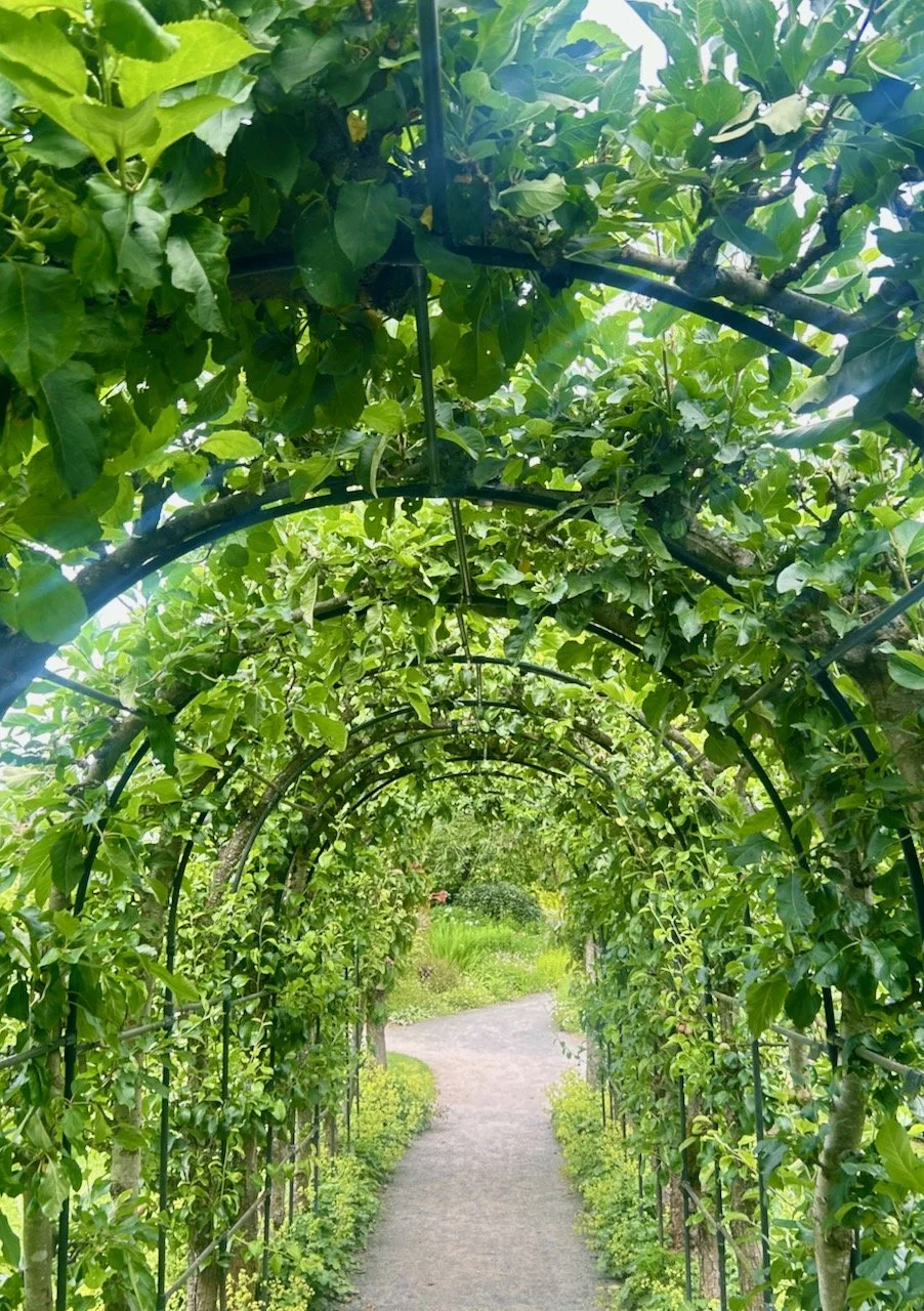 Barnsdale Gardens, a special place