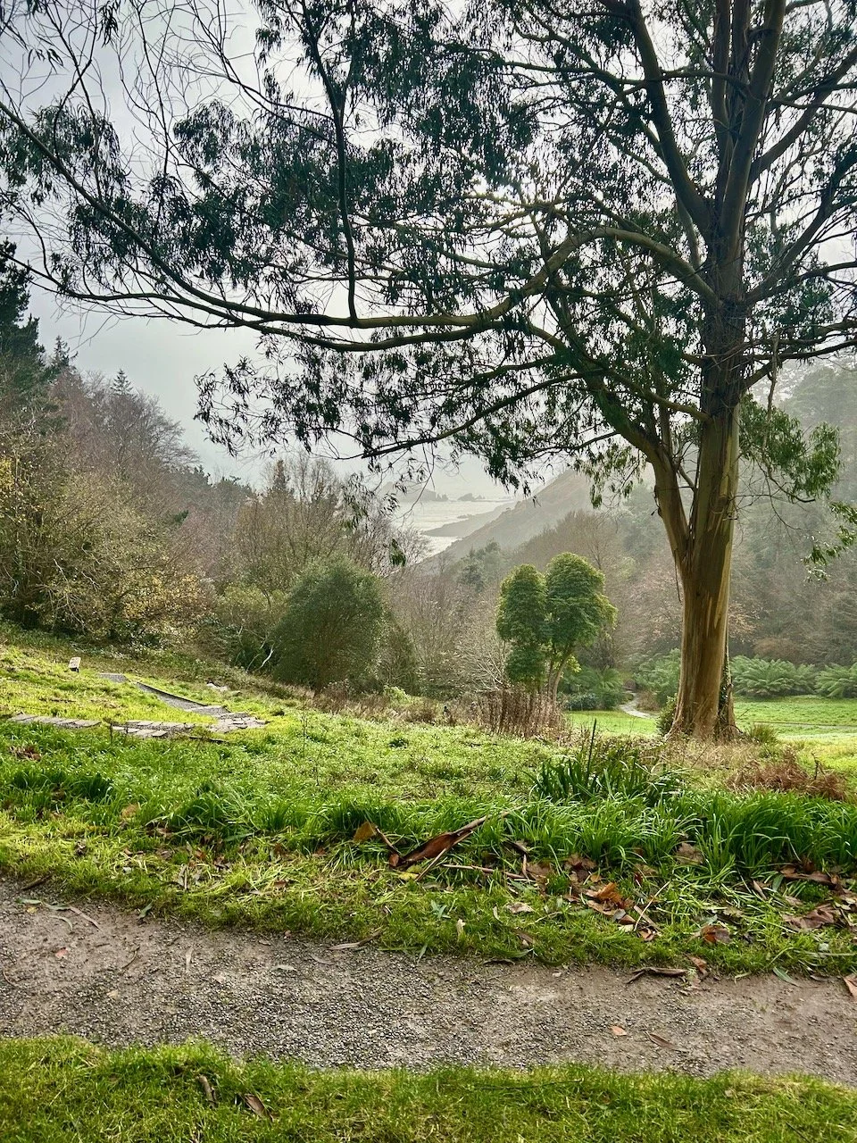 Looking through the rain to the misty valley and sea in the distance