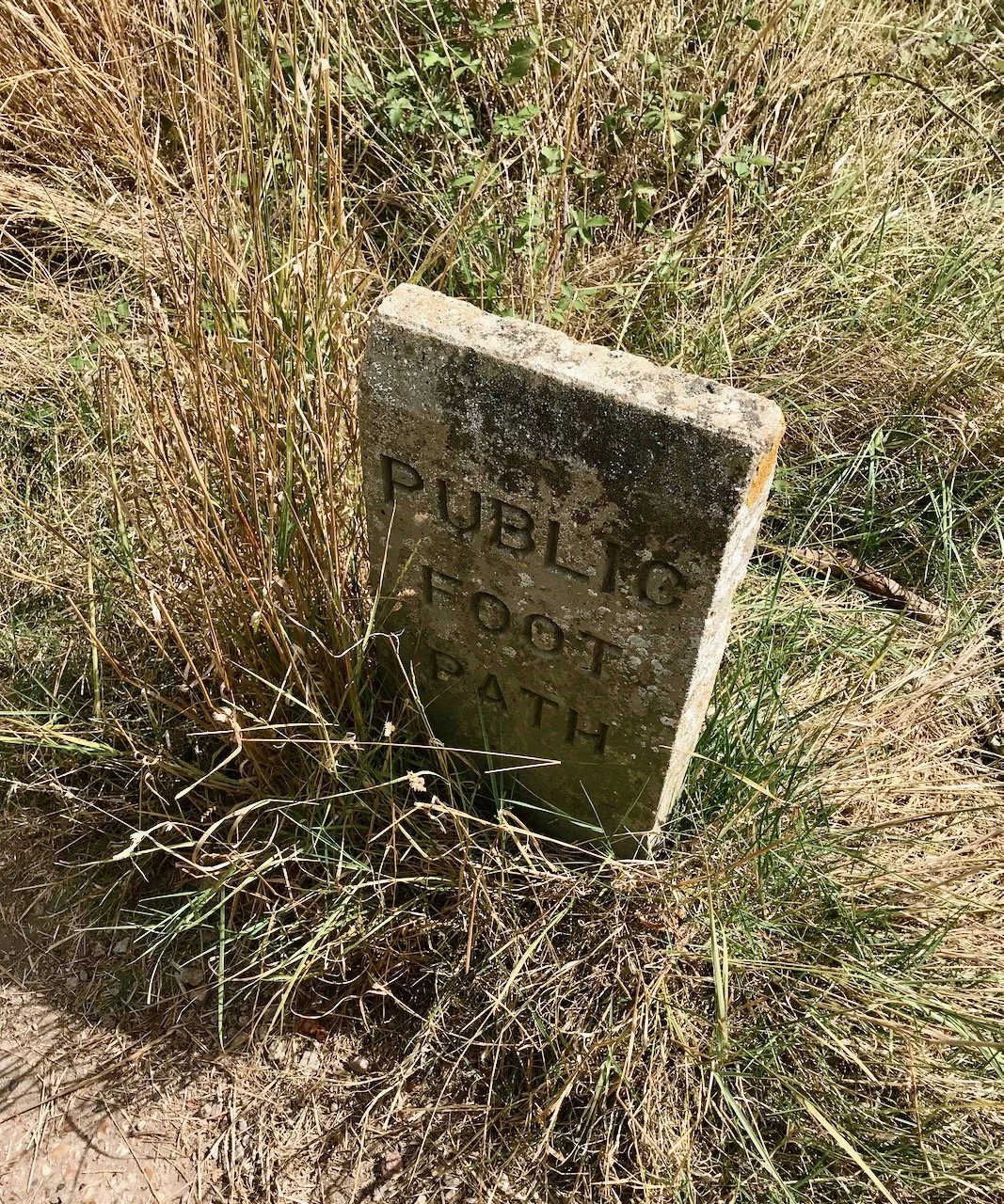 A stone 'public footpath' marker amongst long grass