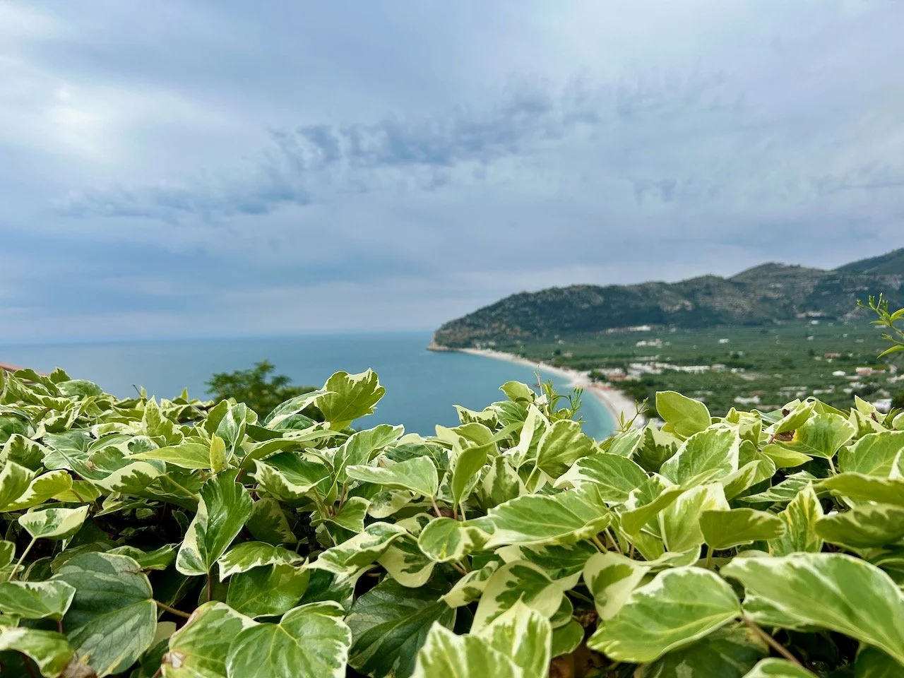 Looking across the bay, taking standing behind the ivy at our hotel