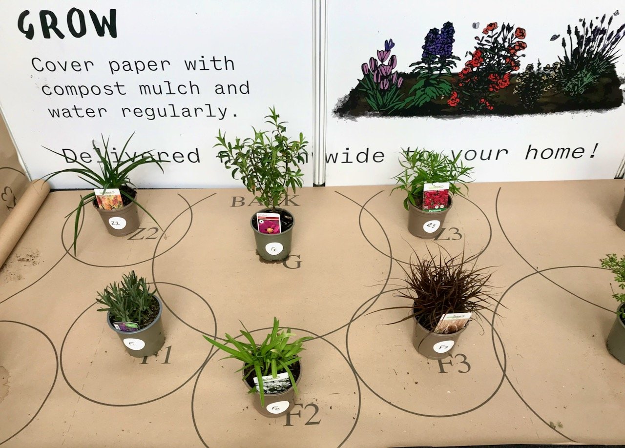 A roll of brown paper with interlocking circles which is coded to help you match the plants to the correct spot, the coded plants are in the centre of each circle