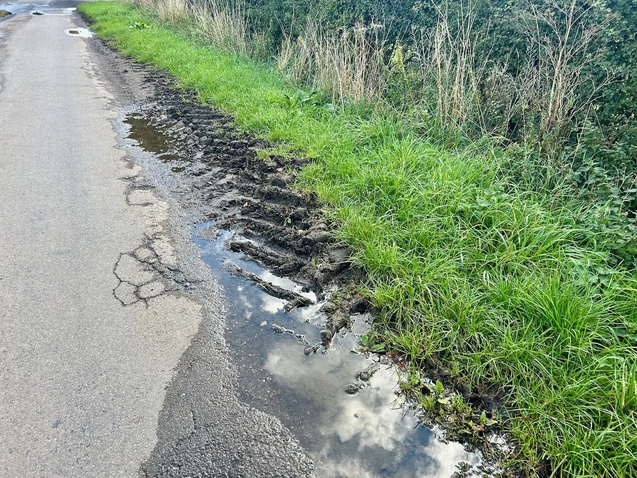 A tractor's tyre marks on the verge and in the puddle