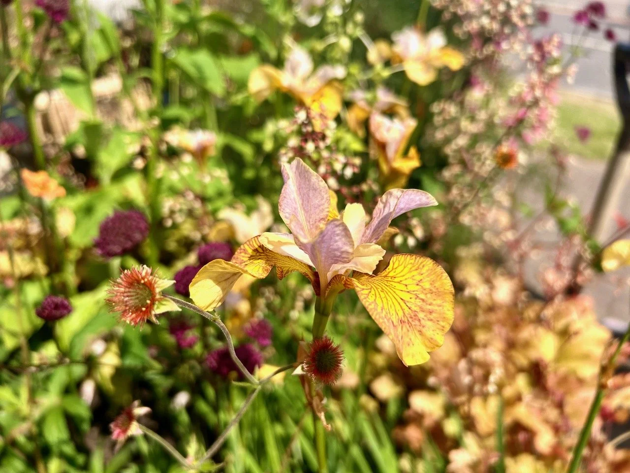 Enjoying the Golden Hour