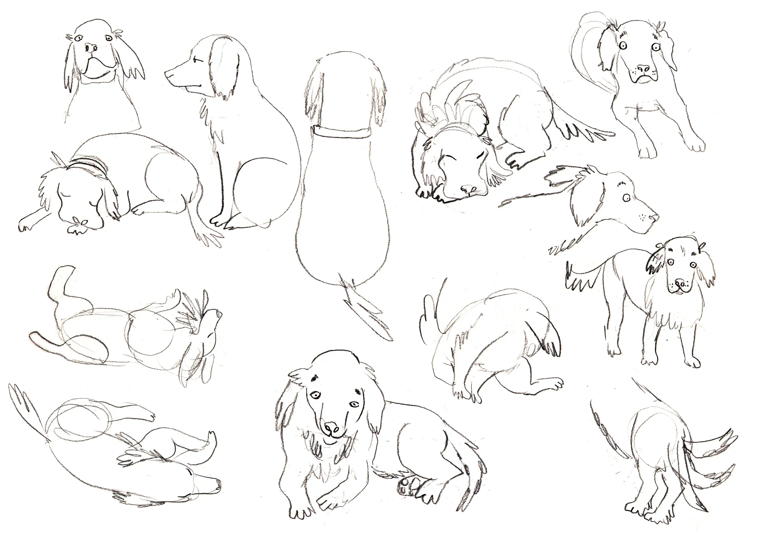 Charlie Sketches.webp
