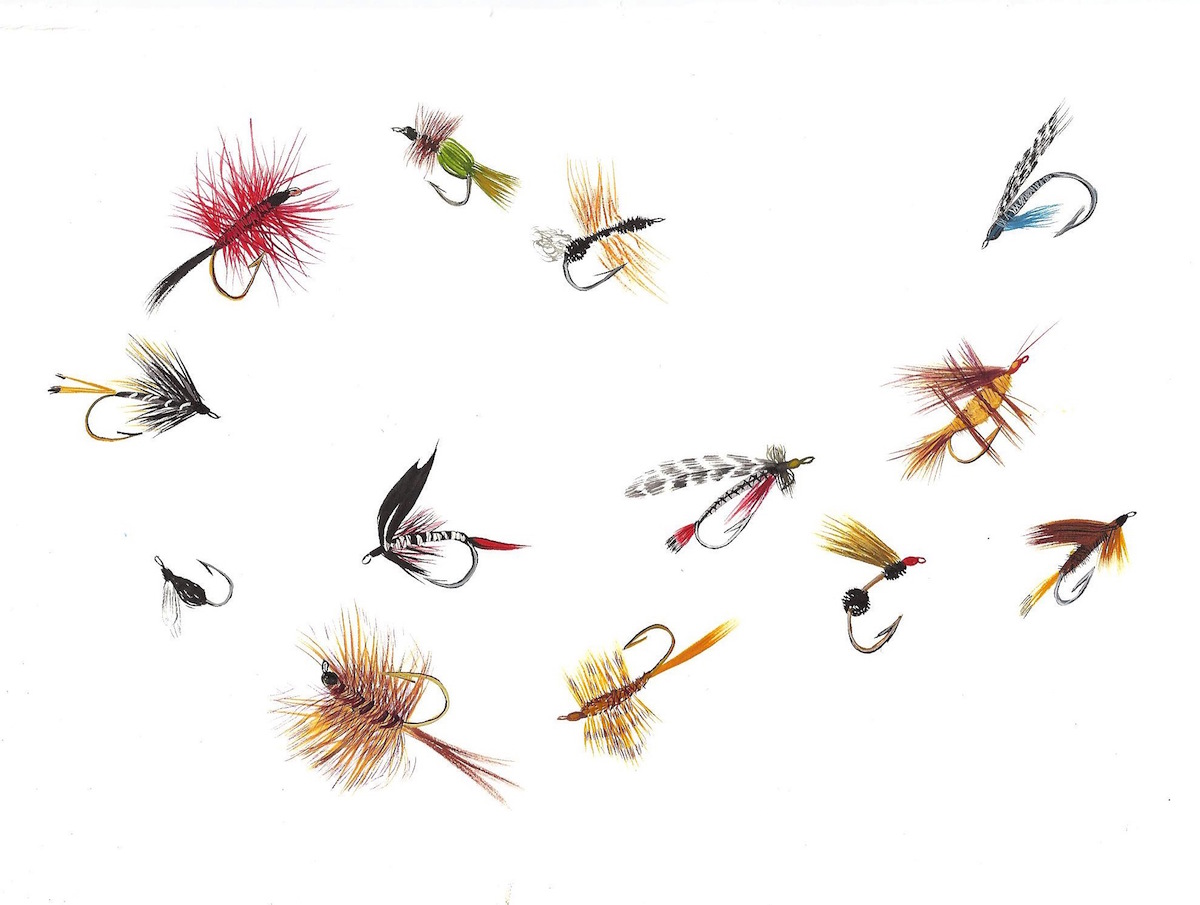 Trout Flies of Vermont 8x11 inches, acrylic ink on paper