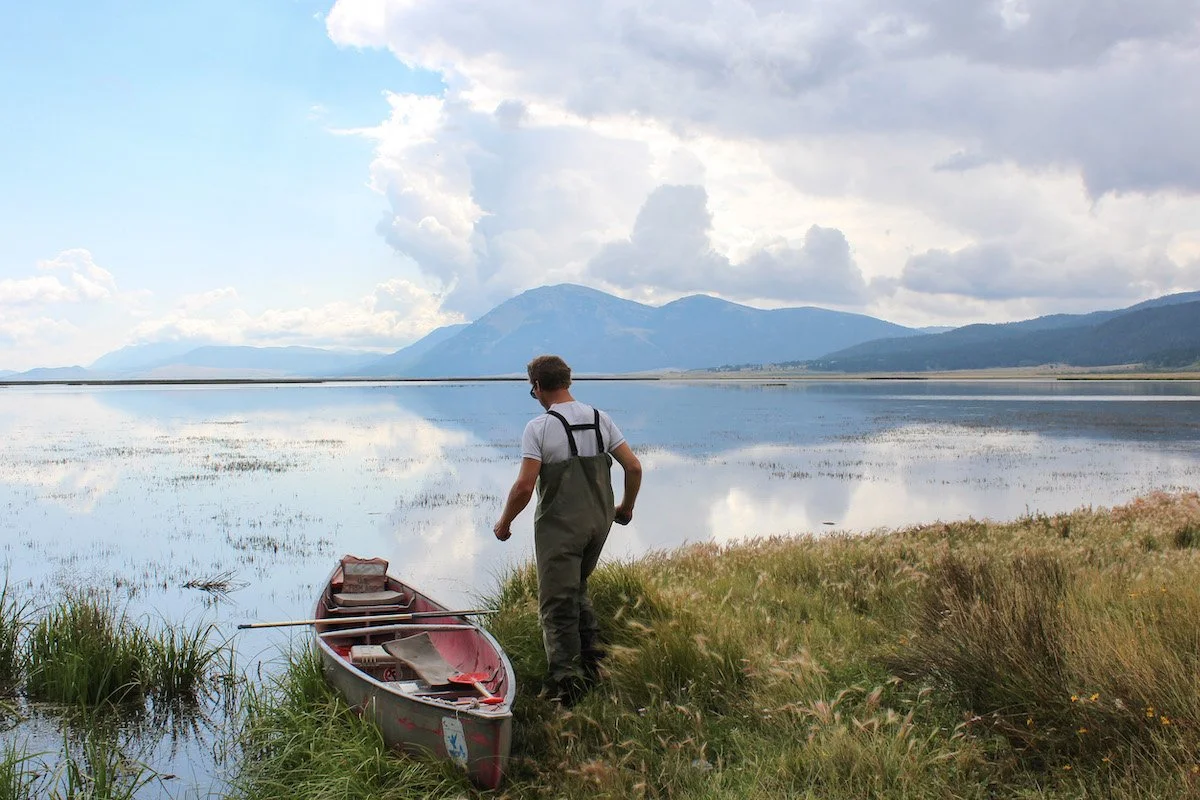  Trekking out with avian ecologist Cody Deane to track lesser scaup nests (Red Rock Lakes, Montana 2015). 
