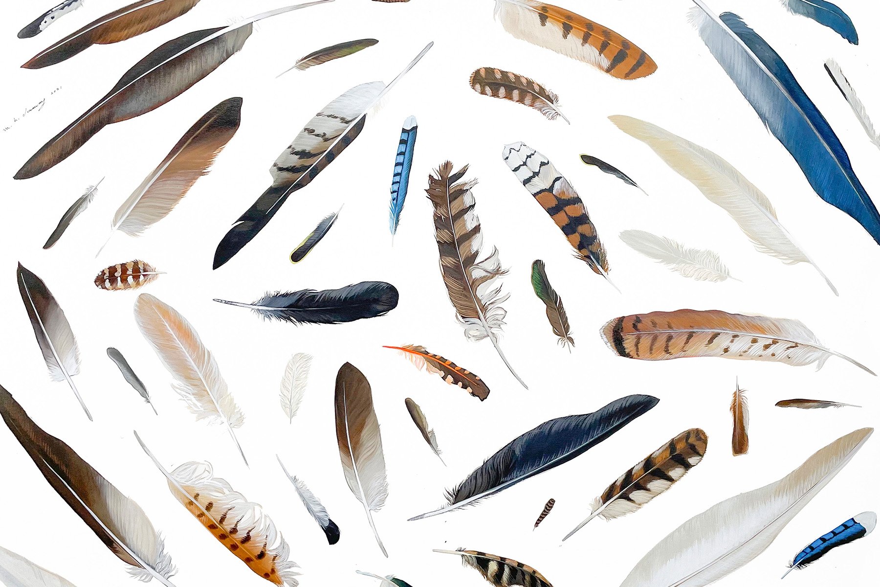 Feathers.jpg