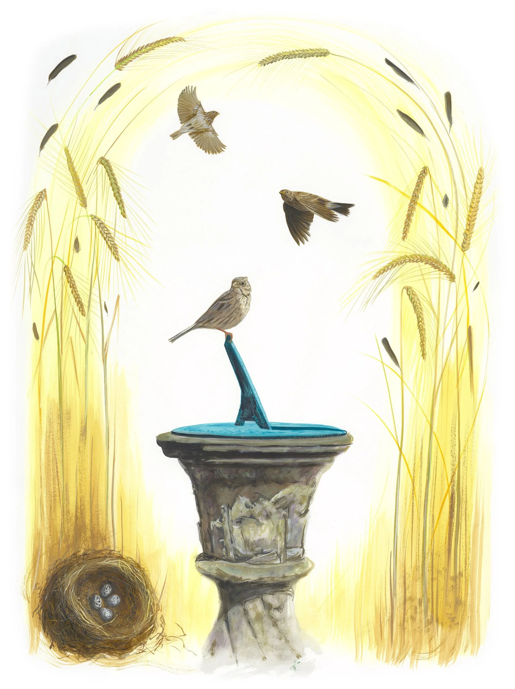    Corn Bunting  , 2026 Acrylic ink on paper, 30 × 22 in (76 × 56 cm) Project:  The Birds of Shakespeare  