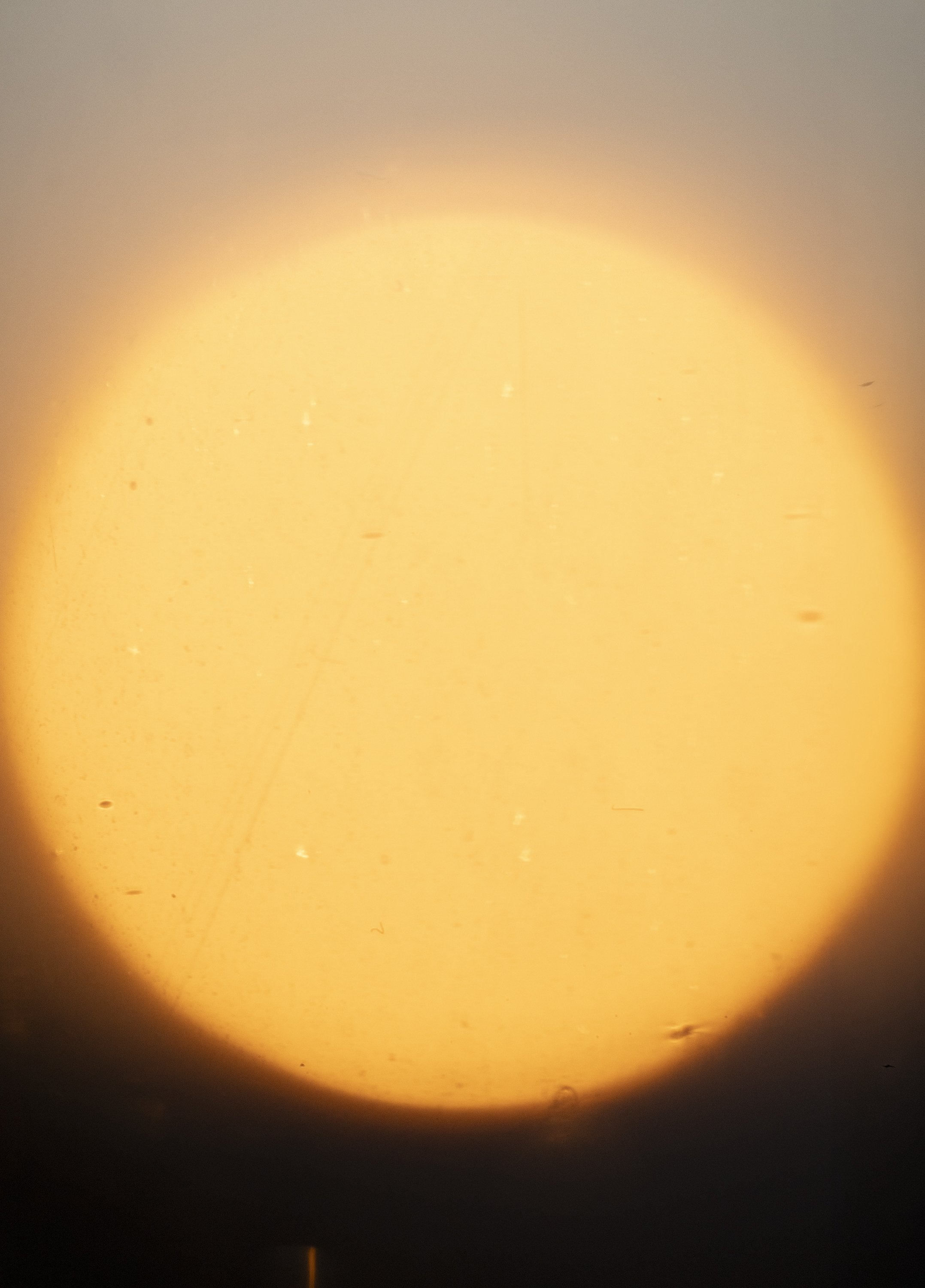 A burst of light, 2026 (soon)