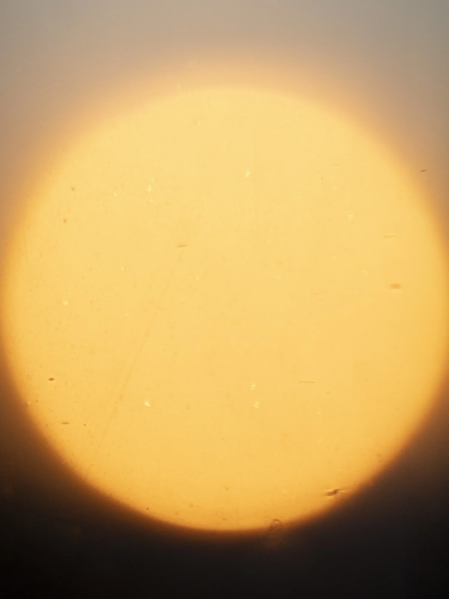 A-burst-of-light_MathildaOlmi_2026_08_web.jpg
