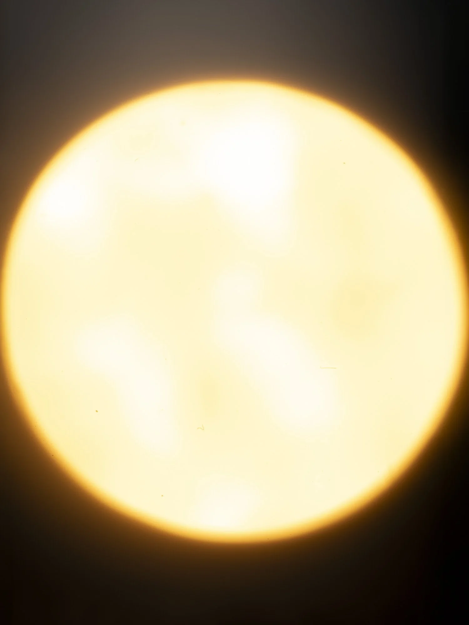 A-burst-of-light_MathildaOlmi_2026_02_web.jpg