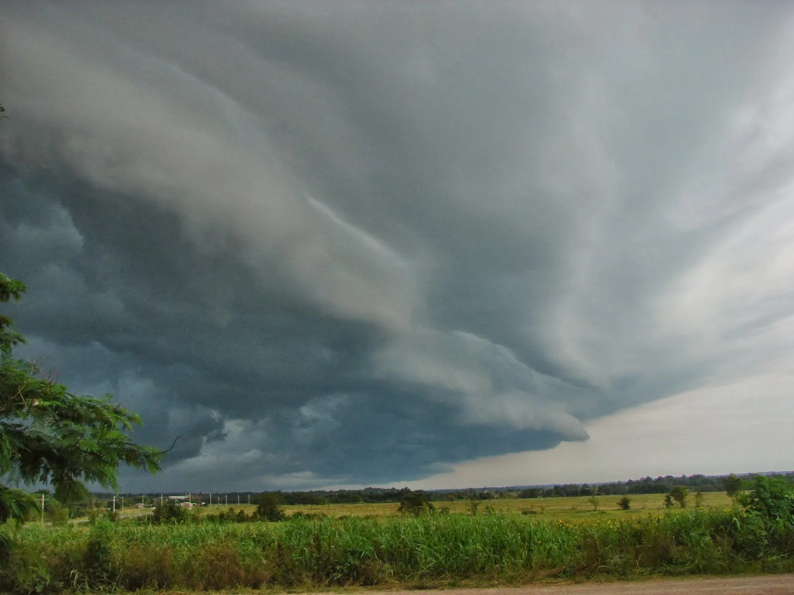 I Hate To Say I Told You So...