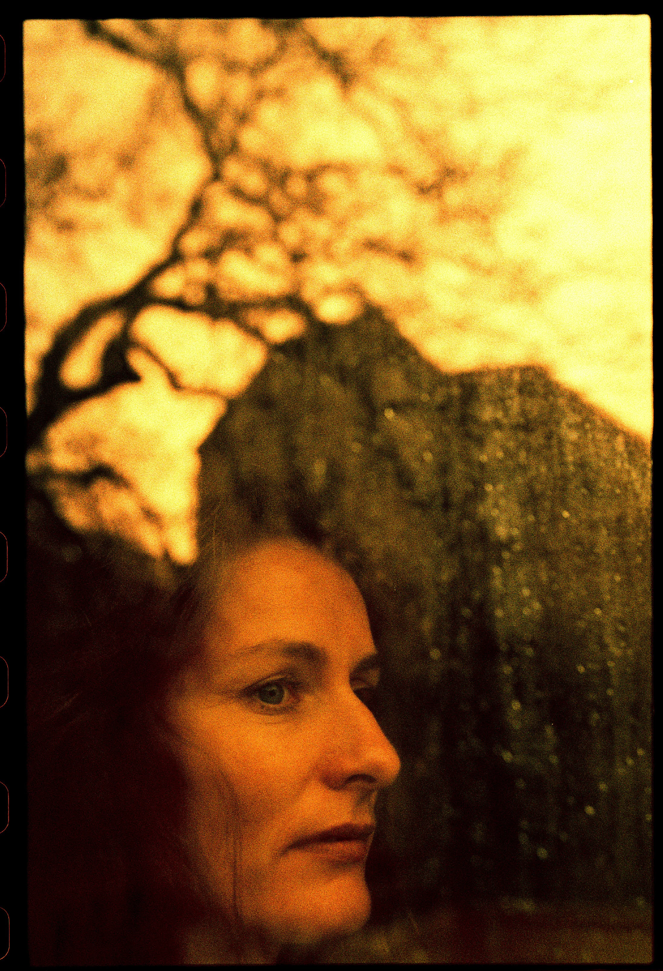 Lene Gammelgaard