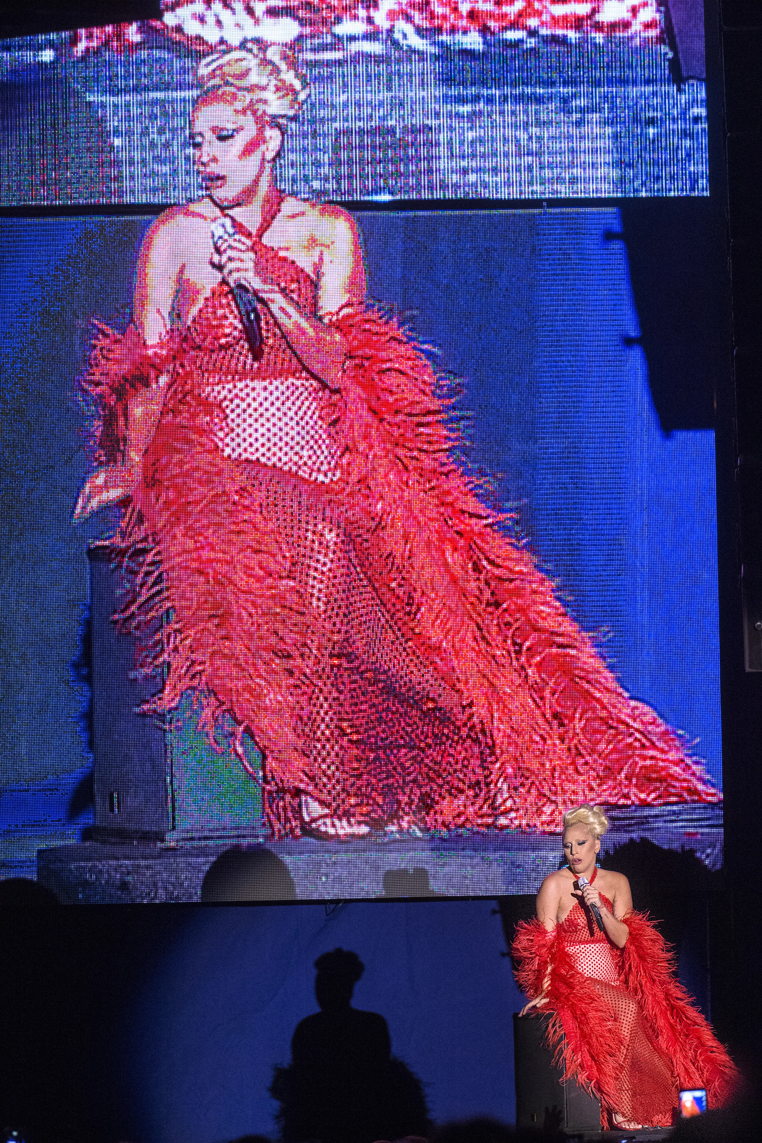 Lady Gaga