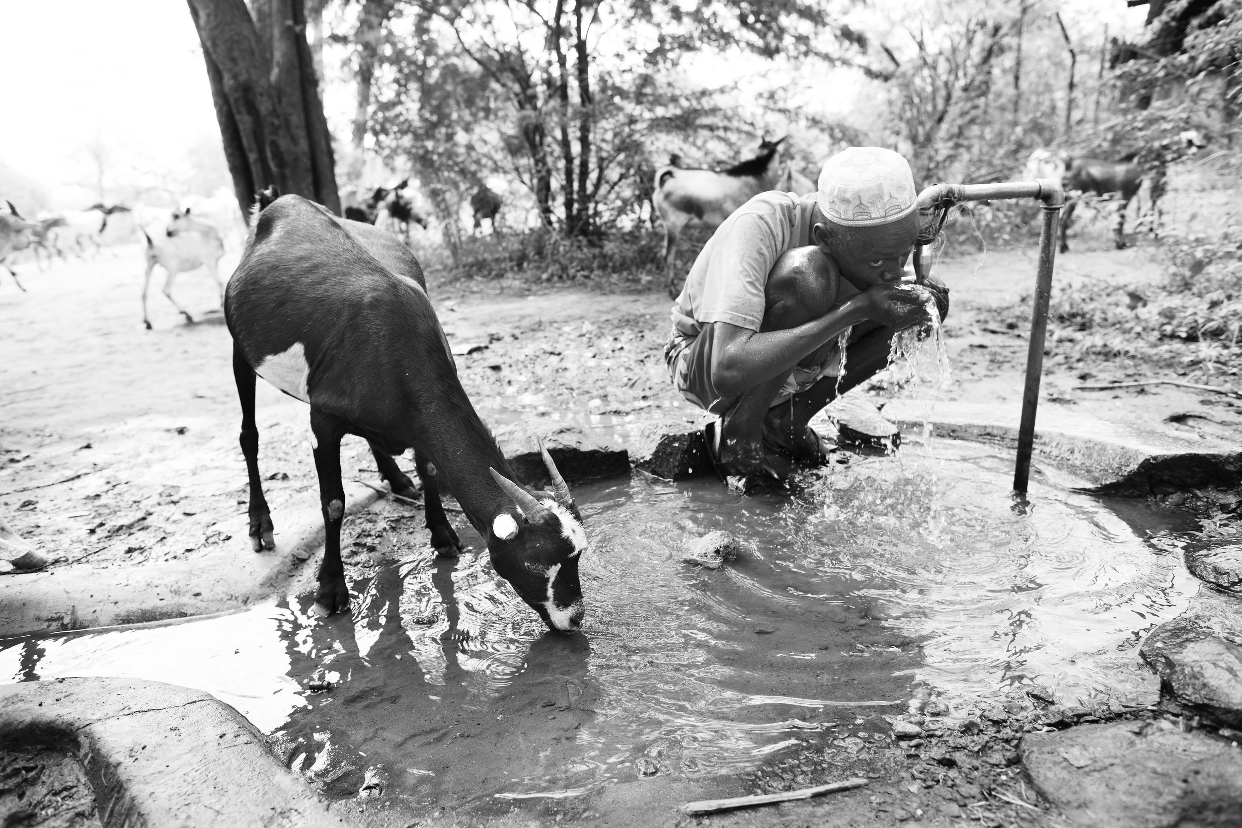 The Search for drinking water