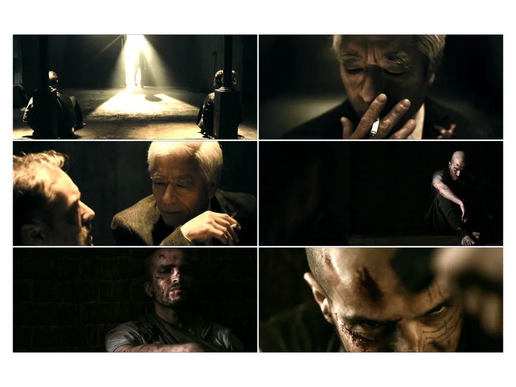 Chameleon Website Stills.001.jpg