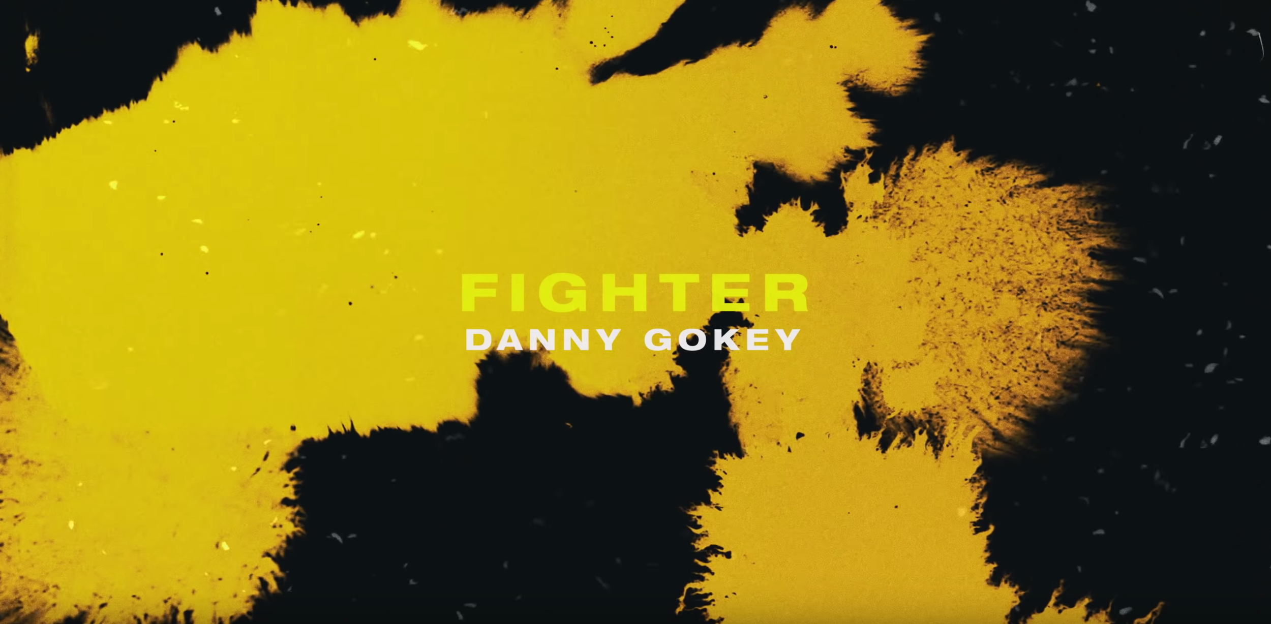 Danny Gokey // Fighter