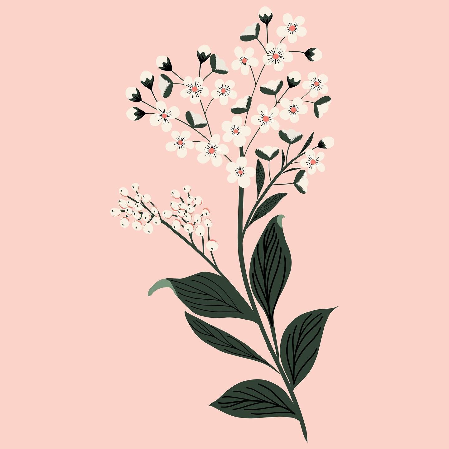 This one I made for myself.
I had a wall that was needing some flowers on a pink background.

#whiteflowers #sorbus #sorbusdomestica #surfacedesign #flowers #flowersofinstagram #carolinaabarcadesign #carolinaabarca